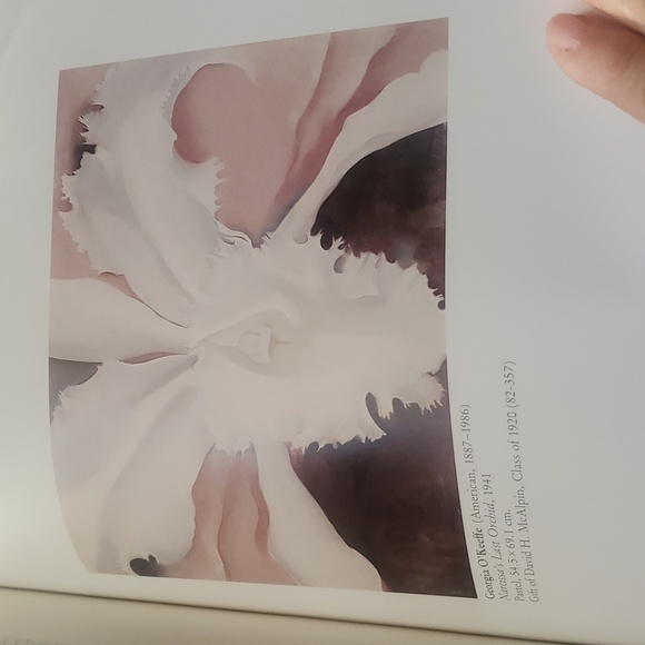 The Art Museum Princeton University Hardcover Book - Picture 8 of 16